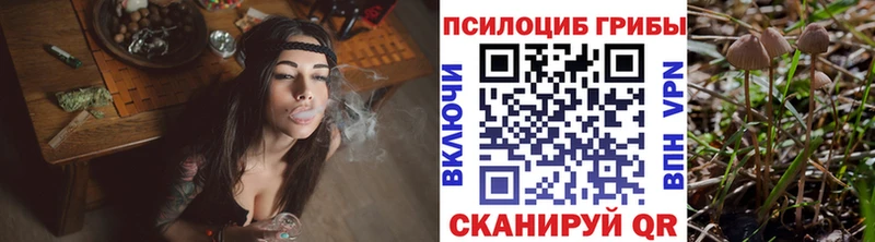 Галлюциногенные грибы GOLDEN TEACHER  omg маркетплейс  Пласт 